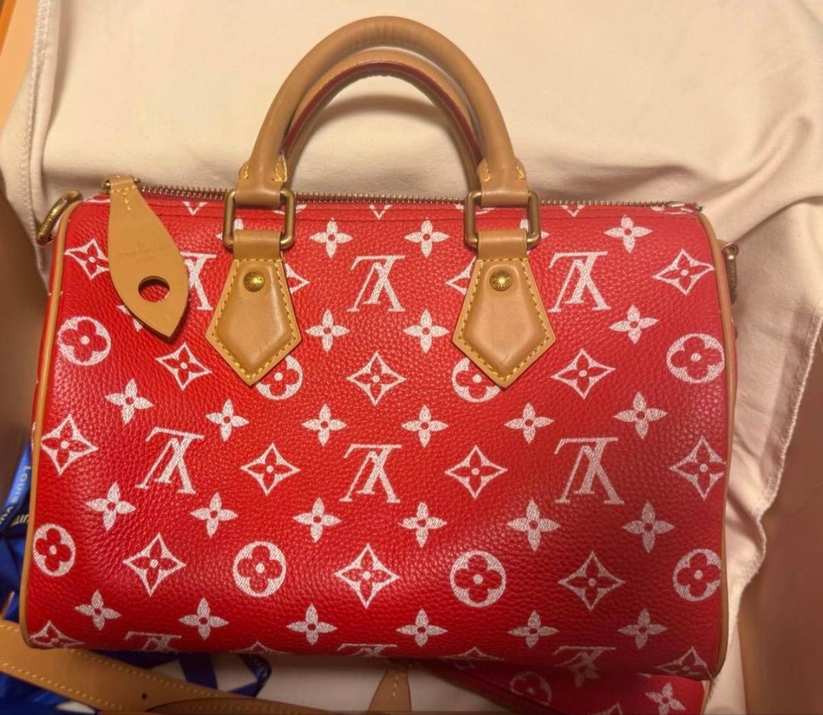 【紧急降价】LOUIS VUITTON 手提包 P9 Bandoulière 2WAY M24425 单肩包 25