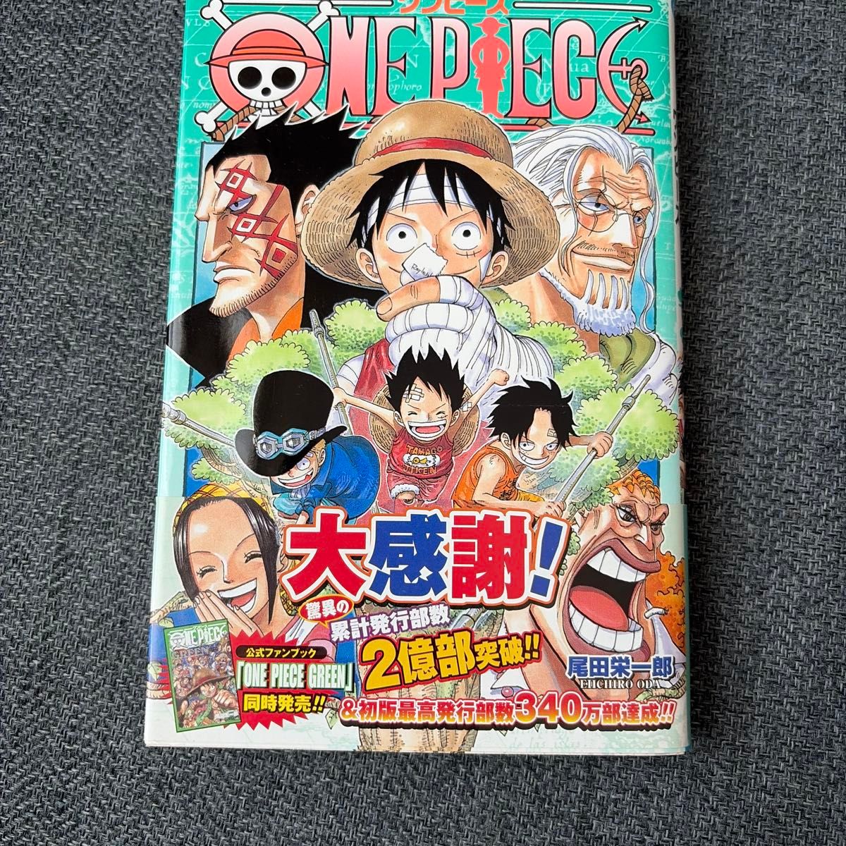ONE PIECE连衣裙60卷尾田荣一郎跳跃漫画