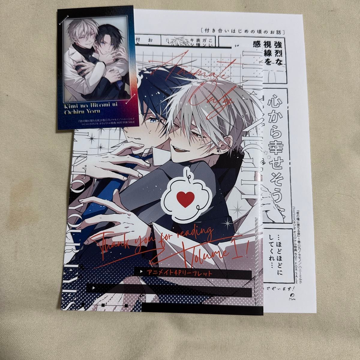 堕落在你眼里的夜晚动画漫画工作室特典小册子 (折叠发送)