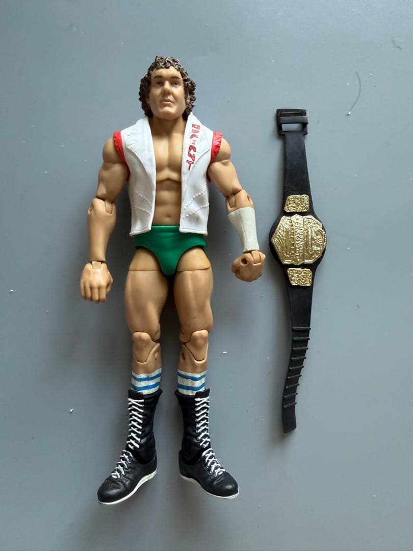 WWE Wrestler Figure Curly Hair