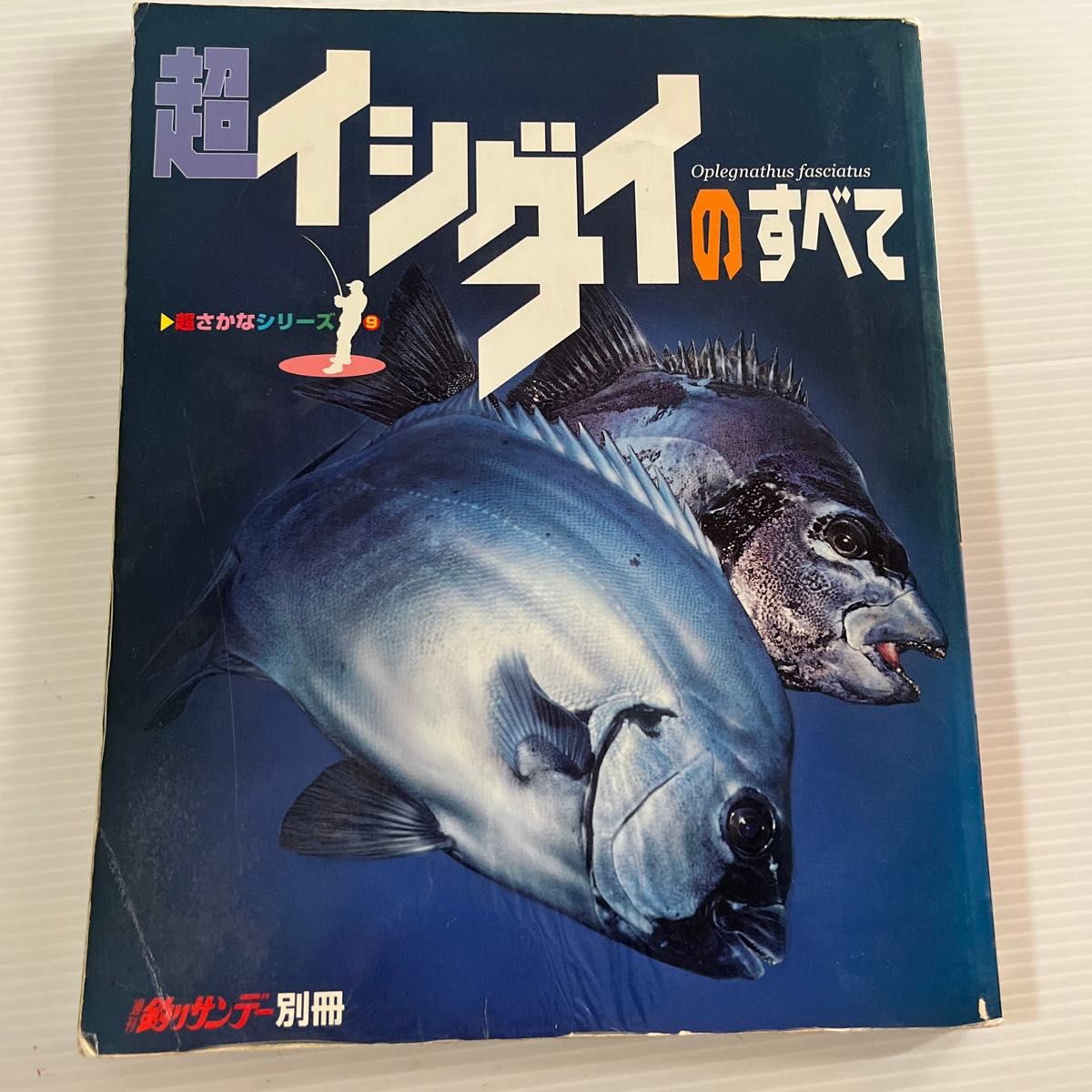 超石鲷的一切（周刊钓鱼Sunday别册 超鱼类系列9）周刊钓鱼Sunday编辑