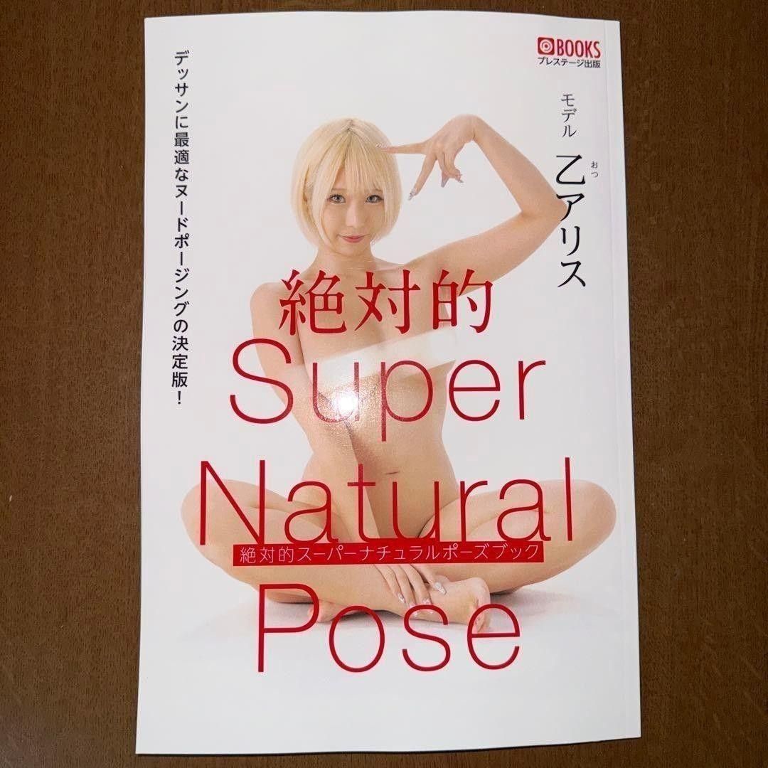 絶対的スーパーナチュラルポーズブック 乙アリス
