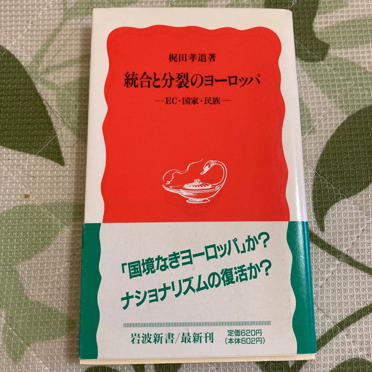 统合与分裂的欧洲EC国家民族岩波新书310/梶田孝道【着】