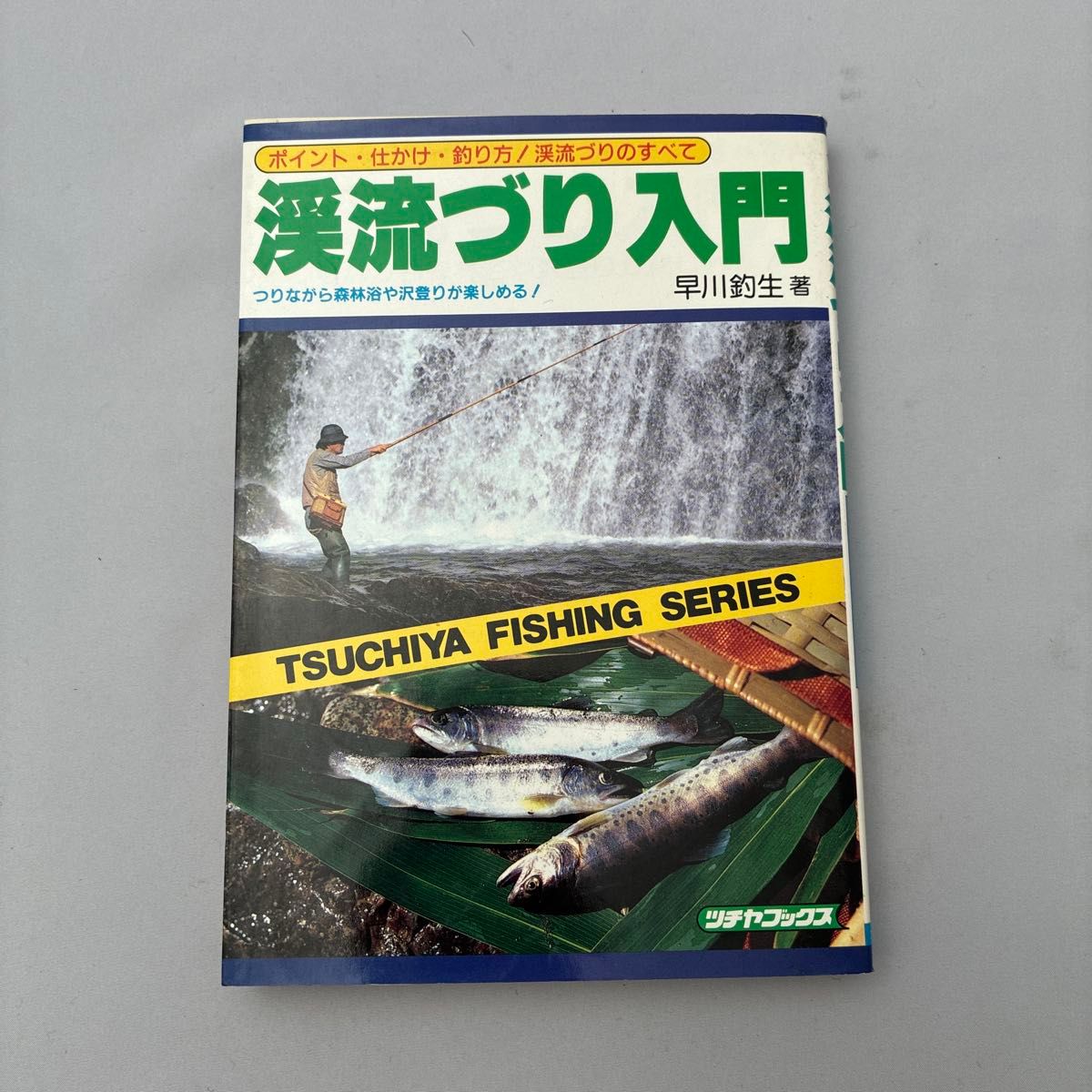 渓流づり入門 早川釣生 著 ツチヤブックス
