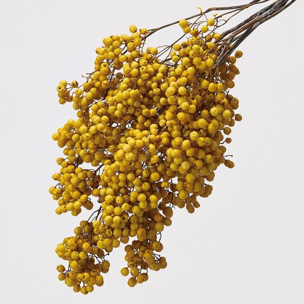 永生花 花材 当日发货 胡椒果·永生花 芥末色 花材 材料 配件 果实类 部件 花艺作品 自然风 花束 大地农园