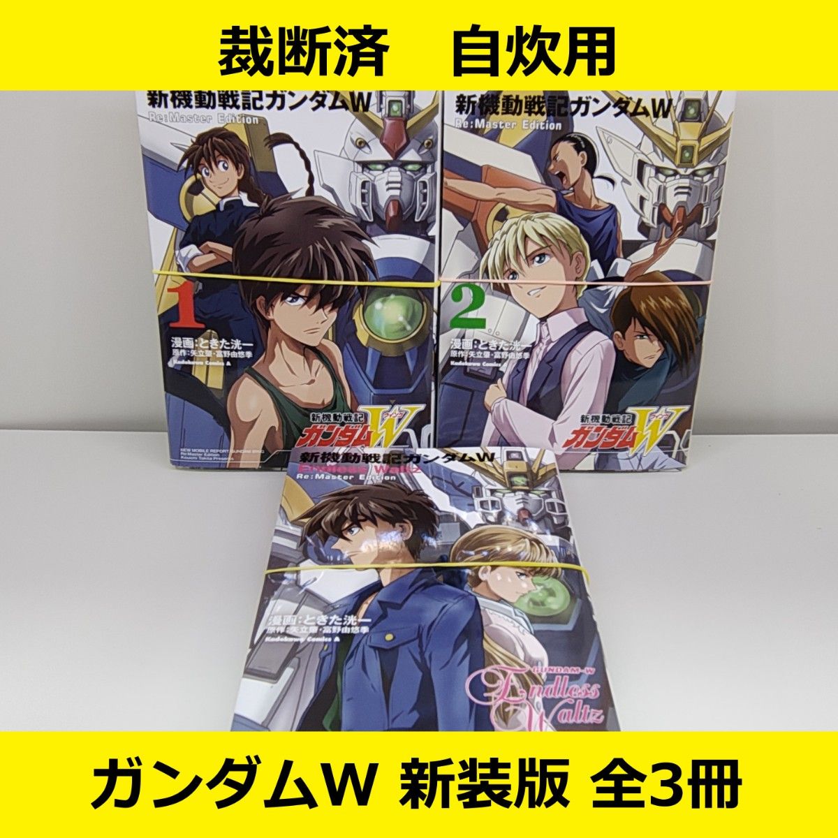 一新机动战记高达W Re: master edition (新版) 全卷