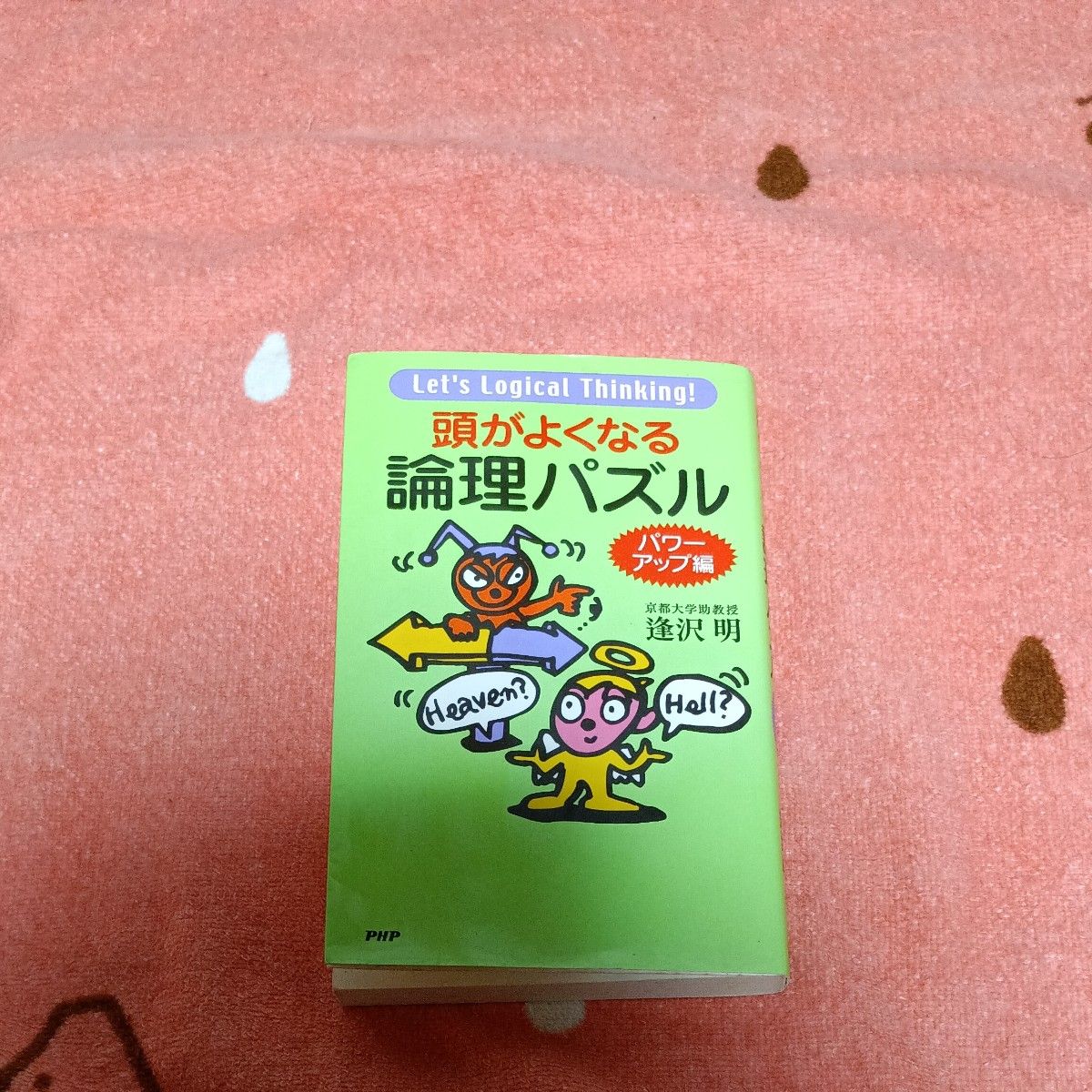 提升智力的逻辑谜题 增强版 逢泽明/著