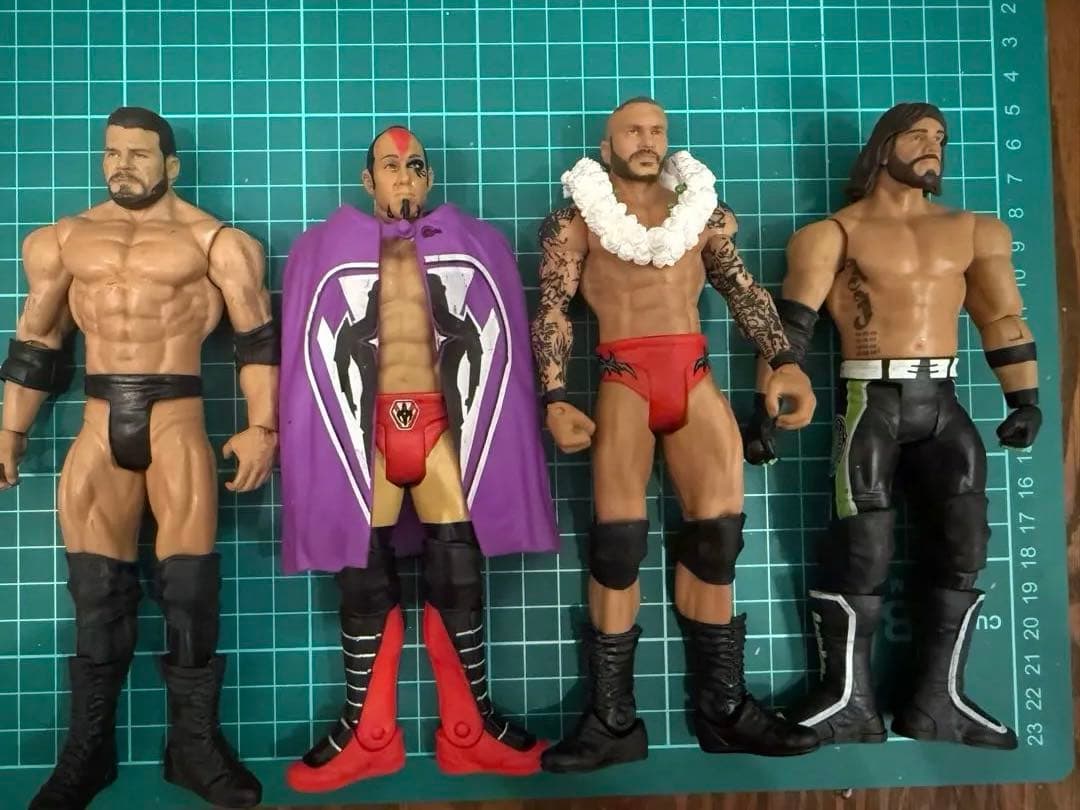 WWE Figure Large Set