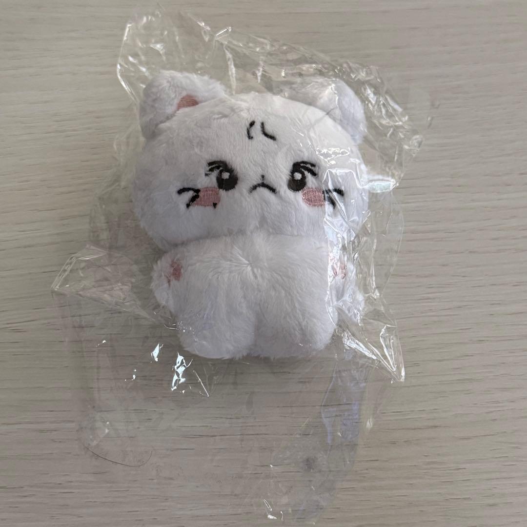 ENHYPEN俊奎ENHAZ玩偶公仔毛绒