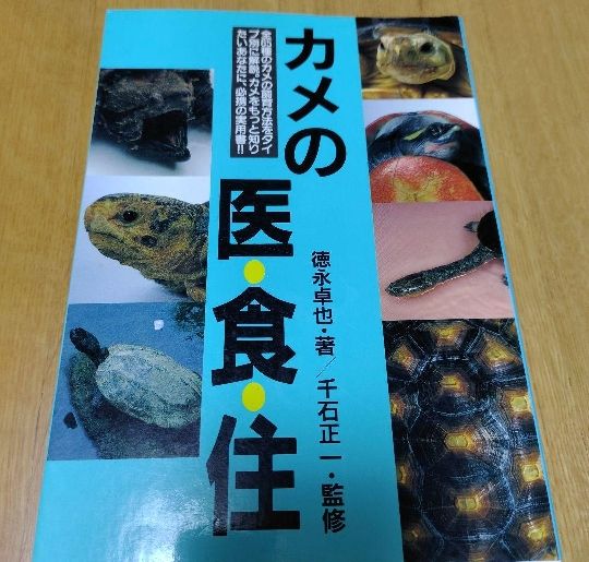 龟的医、食、住 德永卓也·著/千石正一·监修