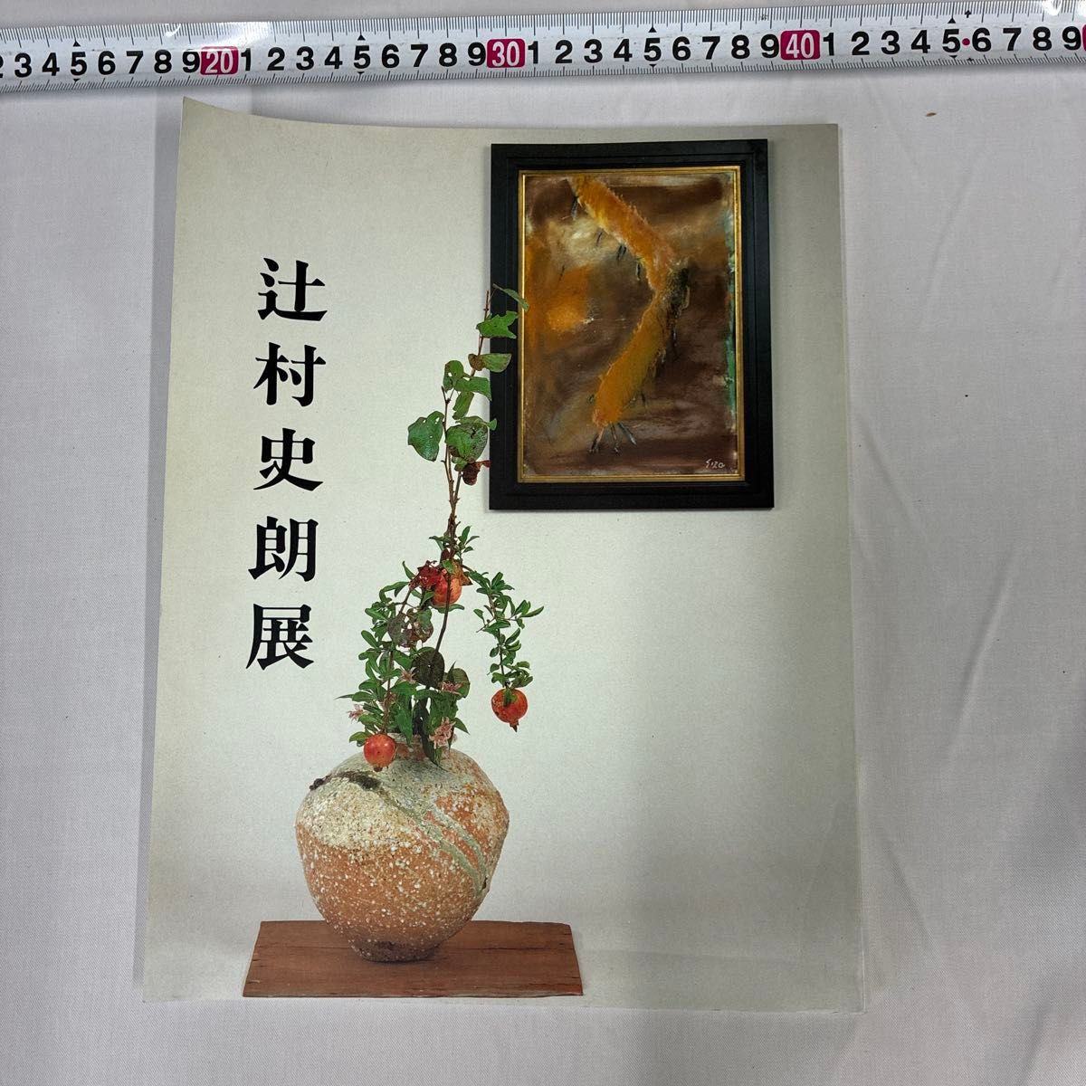 辻村史朗展 図録 陶芸 作品集