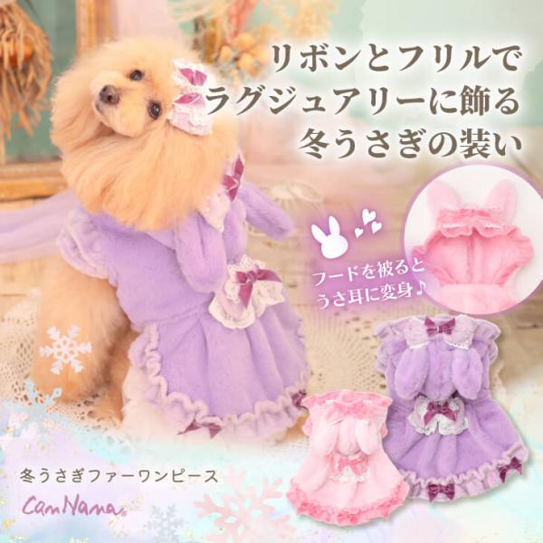 Dog clothing winter wear warm dog wear dress cute frilly rabbit hoodie small breed brand Kyannana 1173 pink lavender