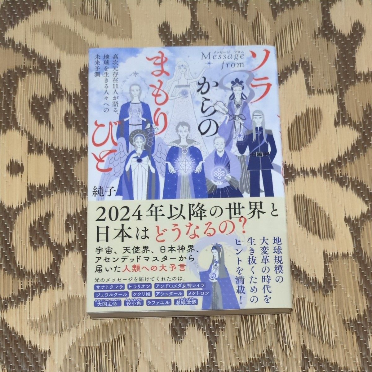来自索拉的守护者之讯——11位高维存在讲述的,关于地球众生的未来预言 纯子 著