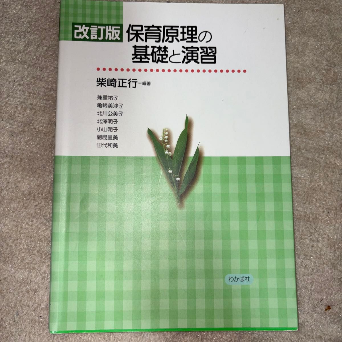 改订版保育原理的基础和演习柴崎正行编着若叶社