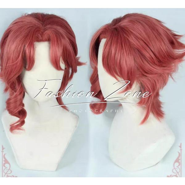 送料無料◆ジョジョの奇妙な冒険  風 花京院 典明  コスプレ ウィッグ かつら 激安 WIG 高温耐熱 変装 ハロウィン仮装