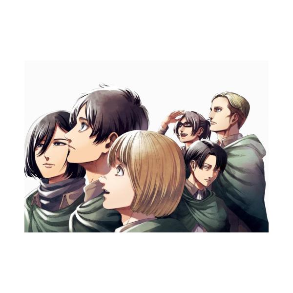New / Attack on Titan Artbook FLY