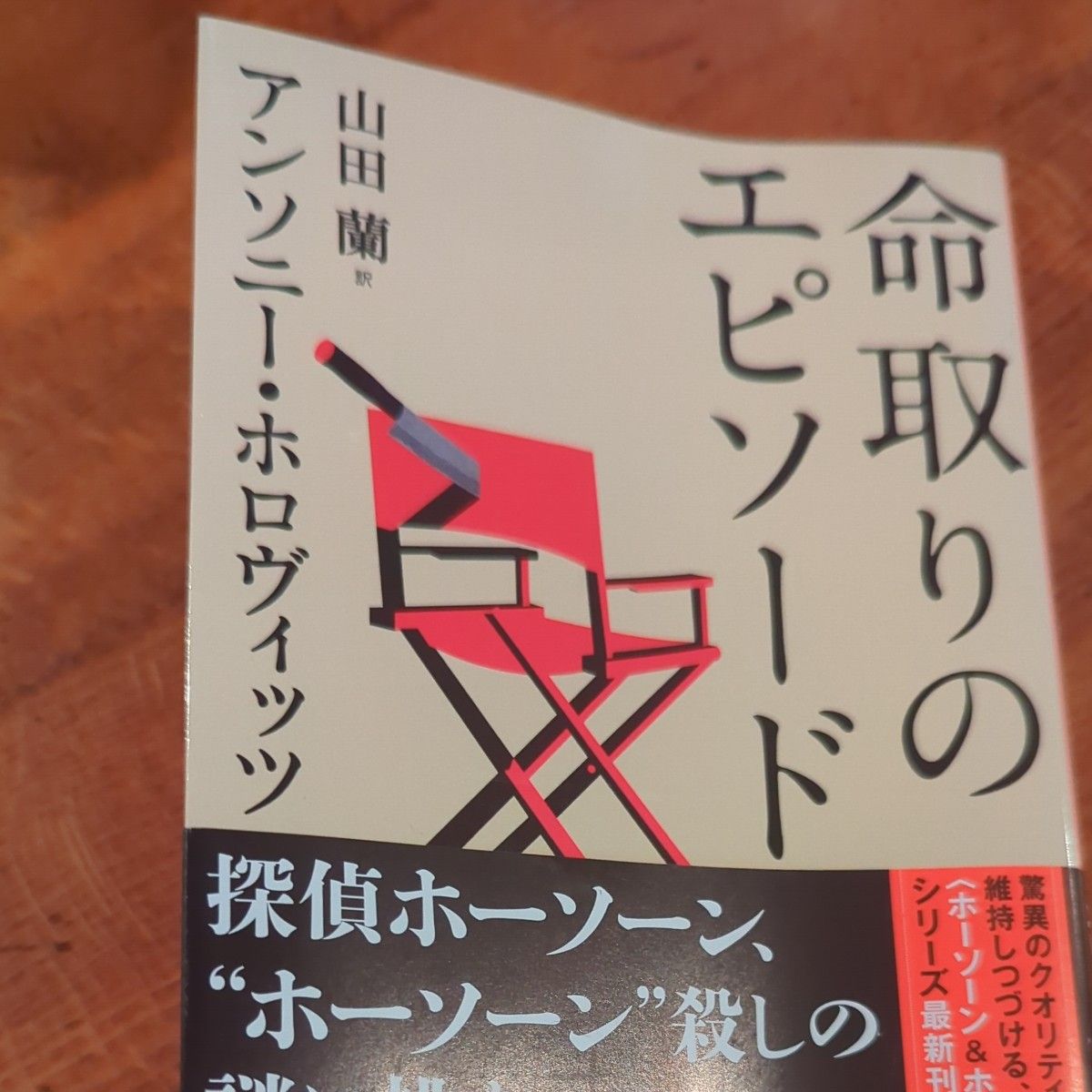 致命插曲 创元推理文库 安东尼·霍洛维茨 山田兰 译