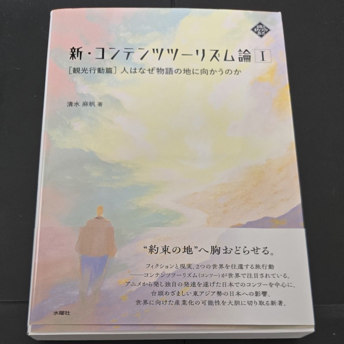 新·内容旅游论 1（文化与城市规划丛书）清水麻帆/著