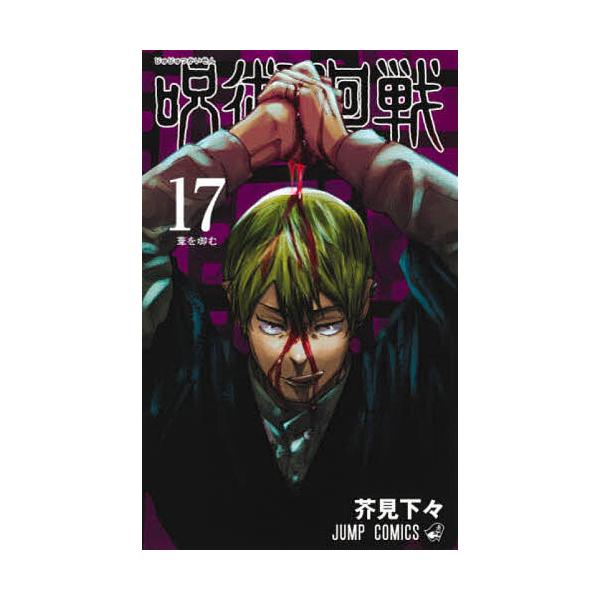 呪術廻戦 17/芥見下々