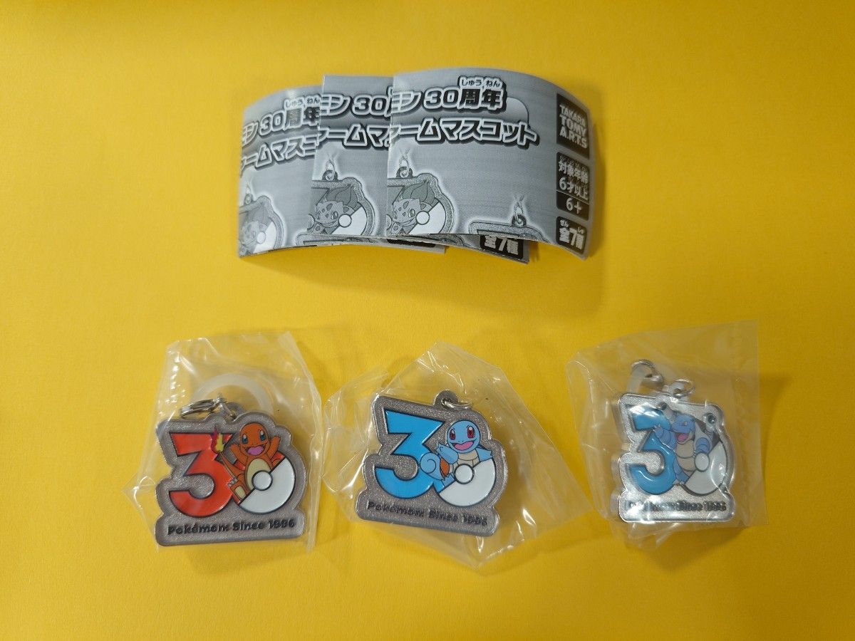 宝可梦30周年纪念 金属挂饰吉祥物 三款套装 小火龙 绿龟 水箭龟