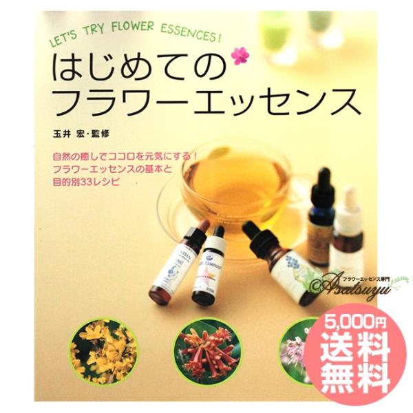 初识花精