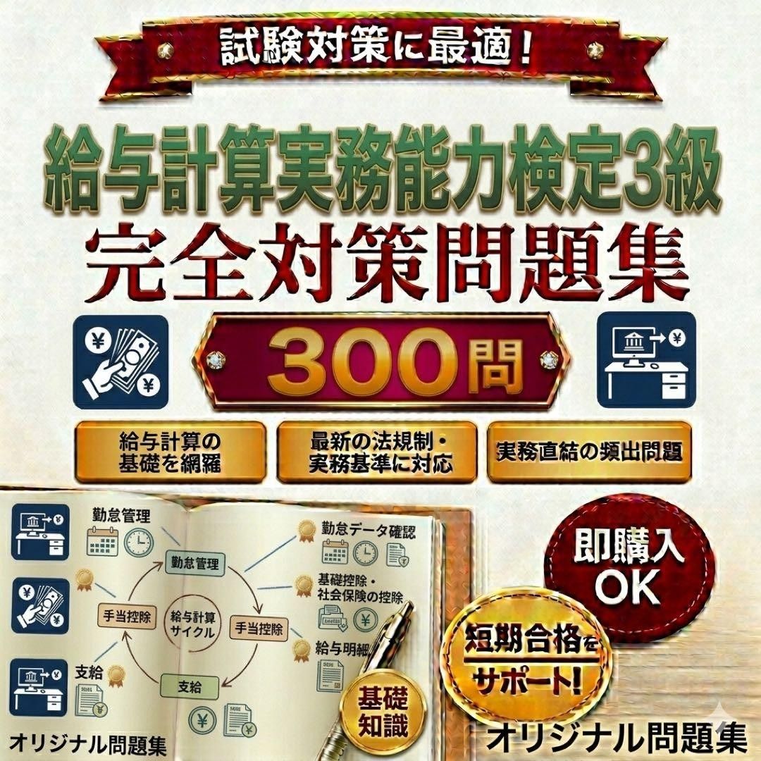 薪酬计算实务能力检定3级 考试对策问题集300题 附解答解说 24小时内发货