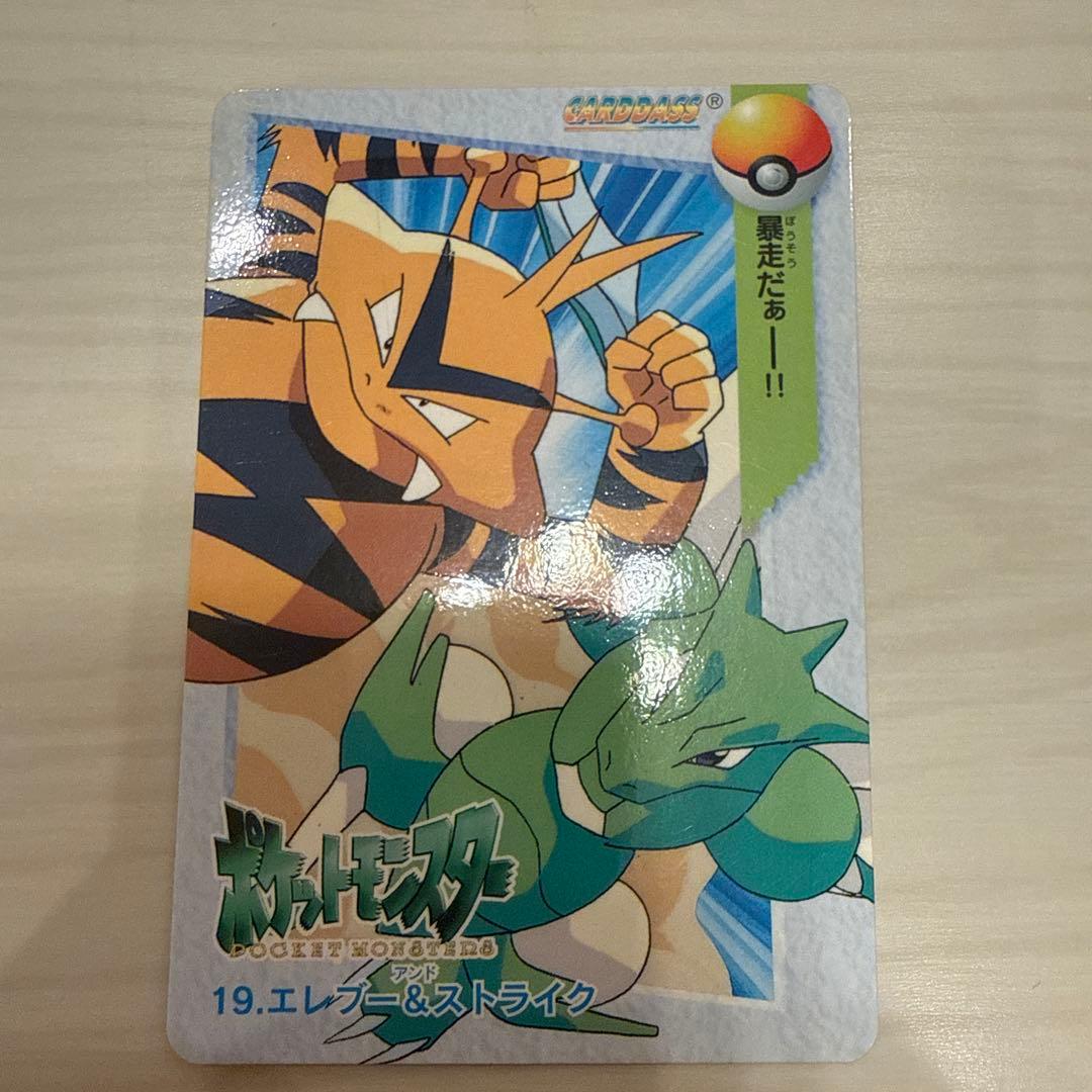 神奇宝贝卡达斯19 eleve & strick