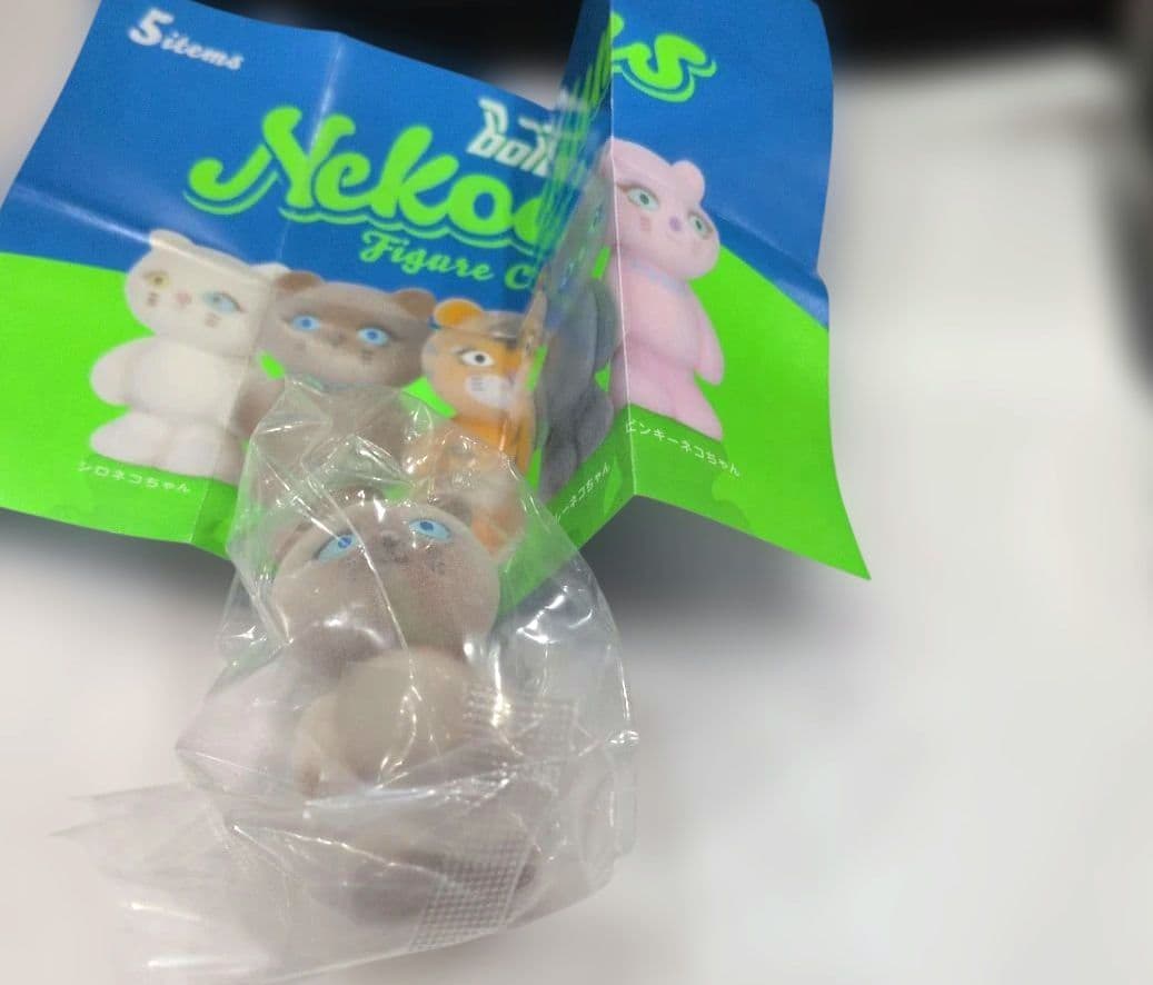 boiboi猫猫们