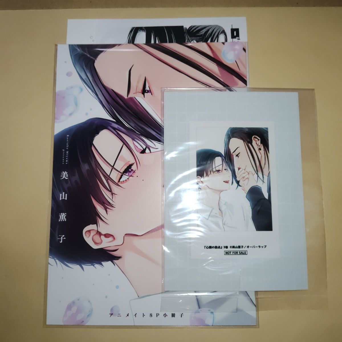 只有心脏的熔点3美山薰子动画套装特典