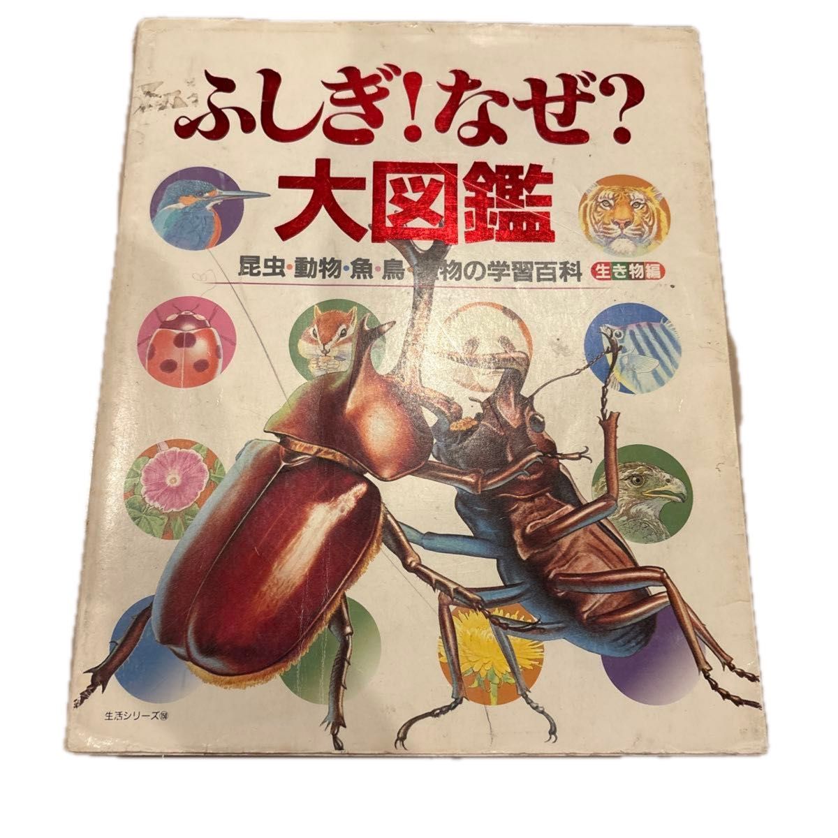 不!为什么？大图鉴生物篇 (生活系列150) 主妇和生活社篇