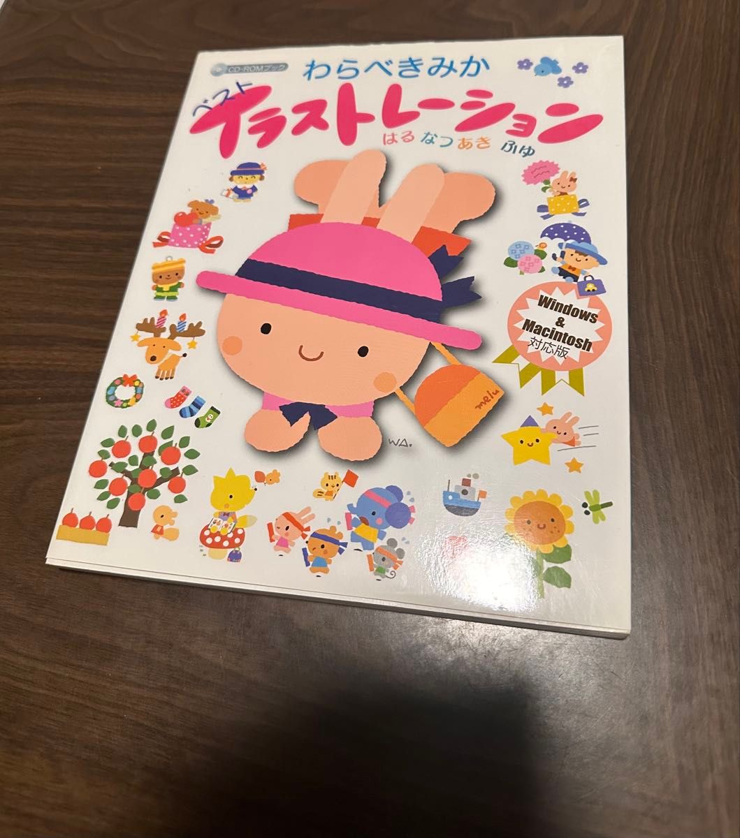 稻草人你最好的插画是CD-ROM的书