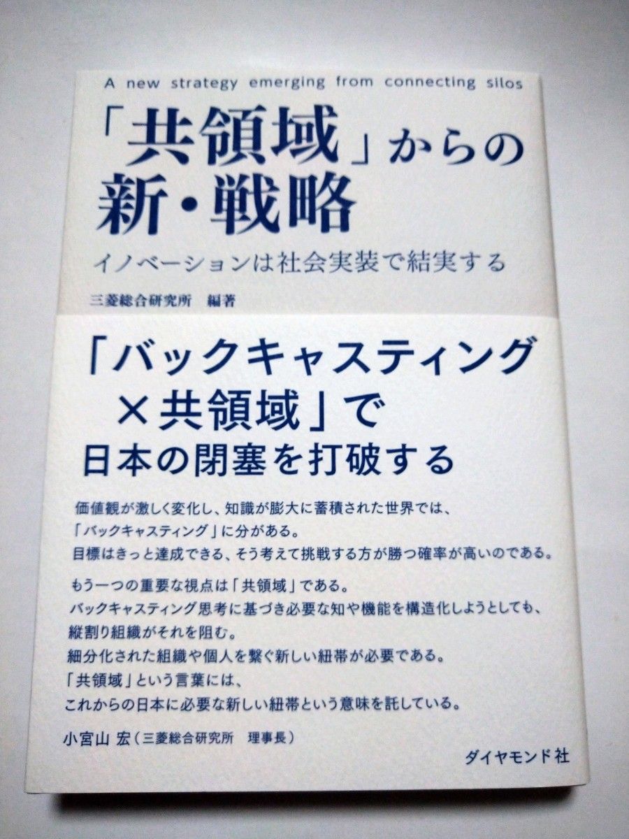 来自“共领域”的新战略:创新在社会落地中结出硕果 三菱综合研究所 编著 110