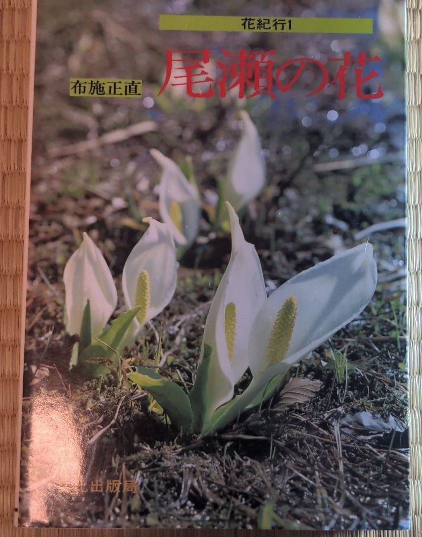 花纪行1尾濑的花布施诚实