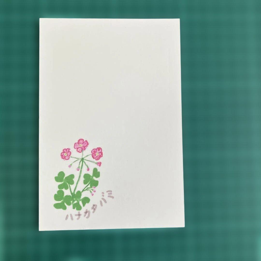花叶酢 10张　明信片（210）
