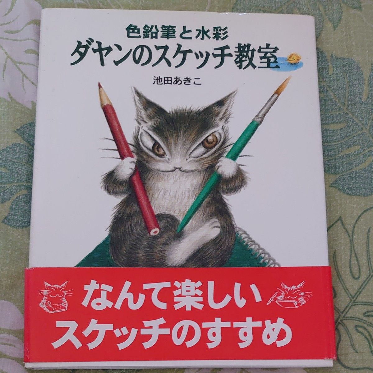 初版 色铅笔与水彩 达扬的素描教室 池田明子