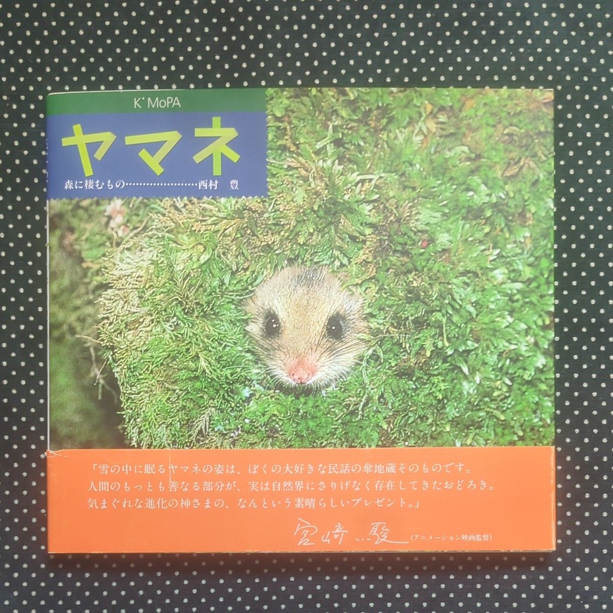 生活在山猫森的西村丰写真集K'MoPA