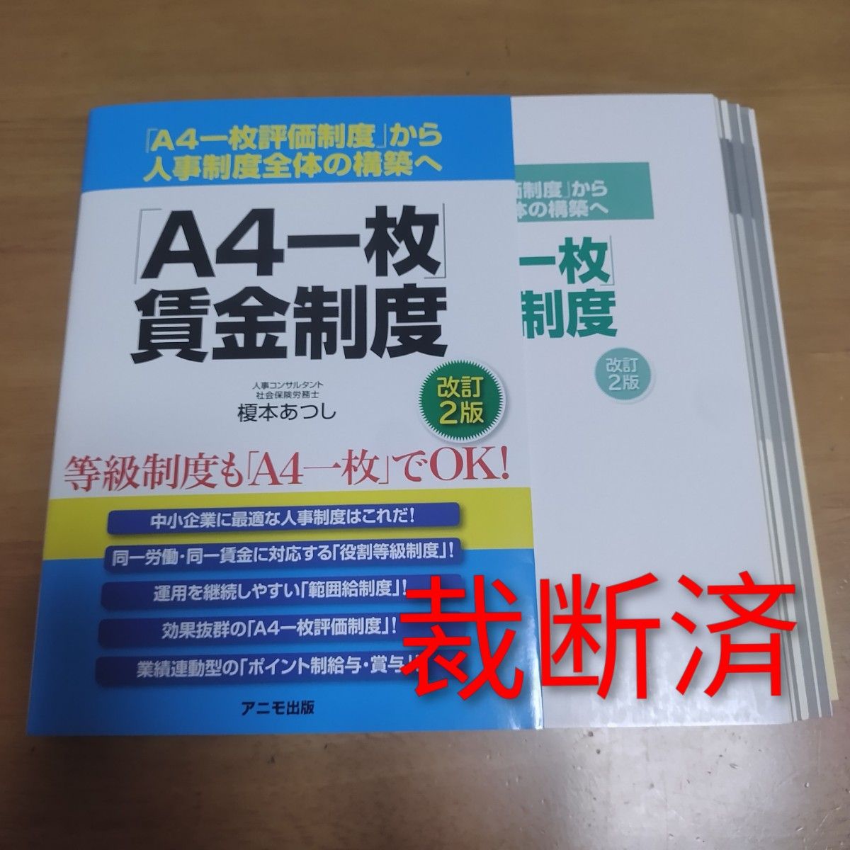 “一张A4纸”薪酬制度 从“一张A4纸评价制度”到整个人事制度体系的构建 第二版 榎本敦志
