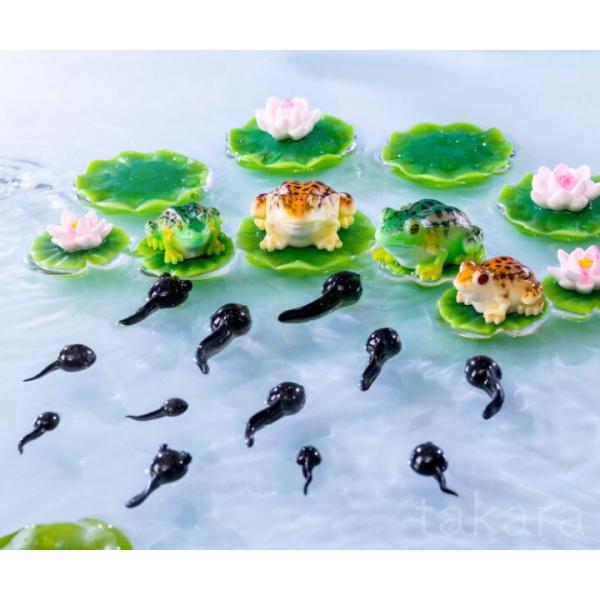 青蛙 蝌蚪 荷花 青蛙 动物 人偶 爬虫箱 人偶 迷你人偶 苔藓缸 水族箱 场景模型 盒中花园 可爱