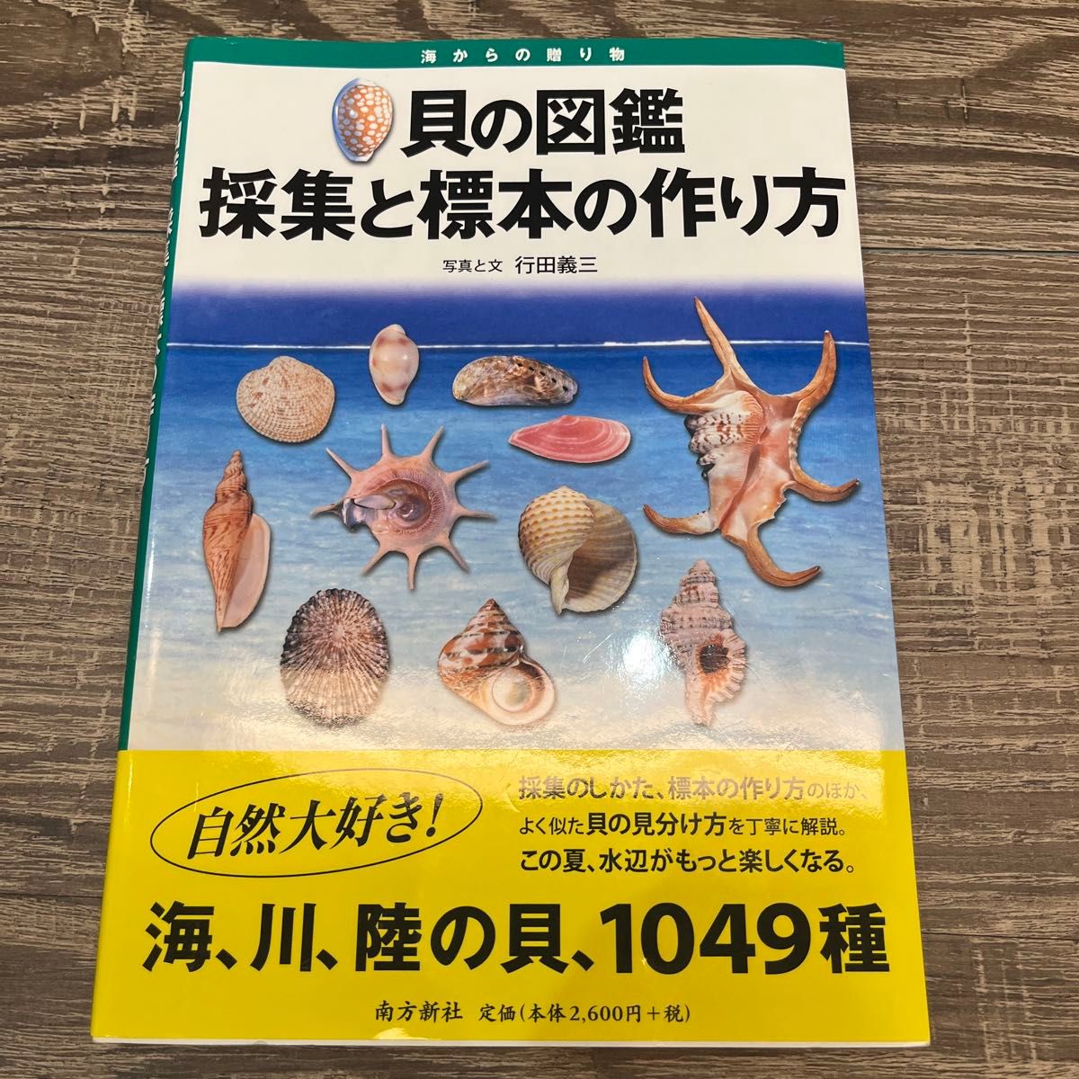 贝的图鉴采集和标本的制作方法海、川、陆贝、1049种南方新社图鉴贝标本