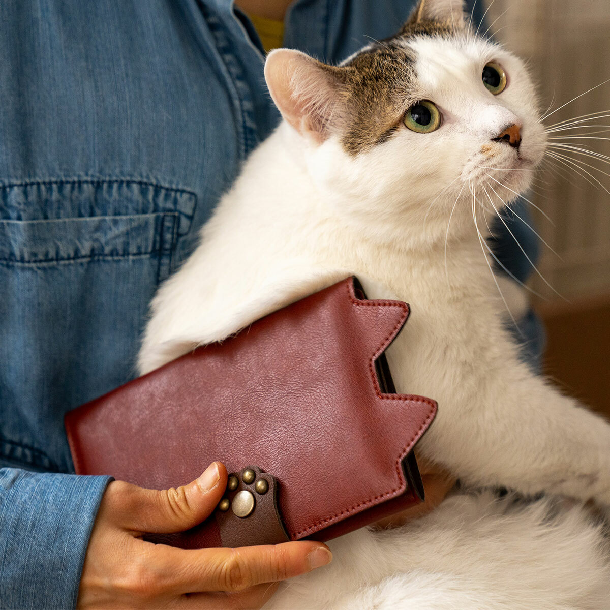 猫部制作的药手册盒医院便利手册诊察券MEDIC-CAT日本制【交货期5 ~ 14天内发送】