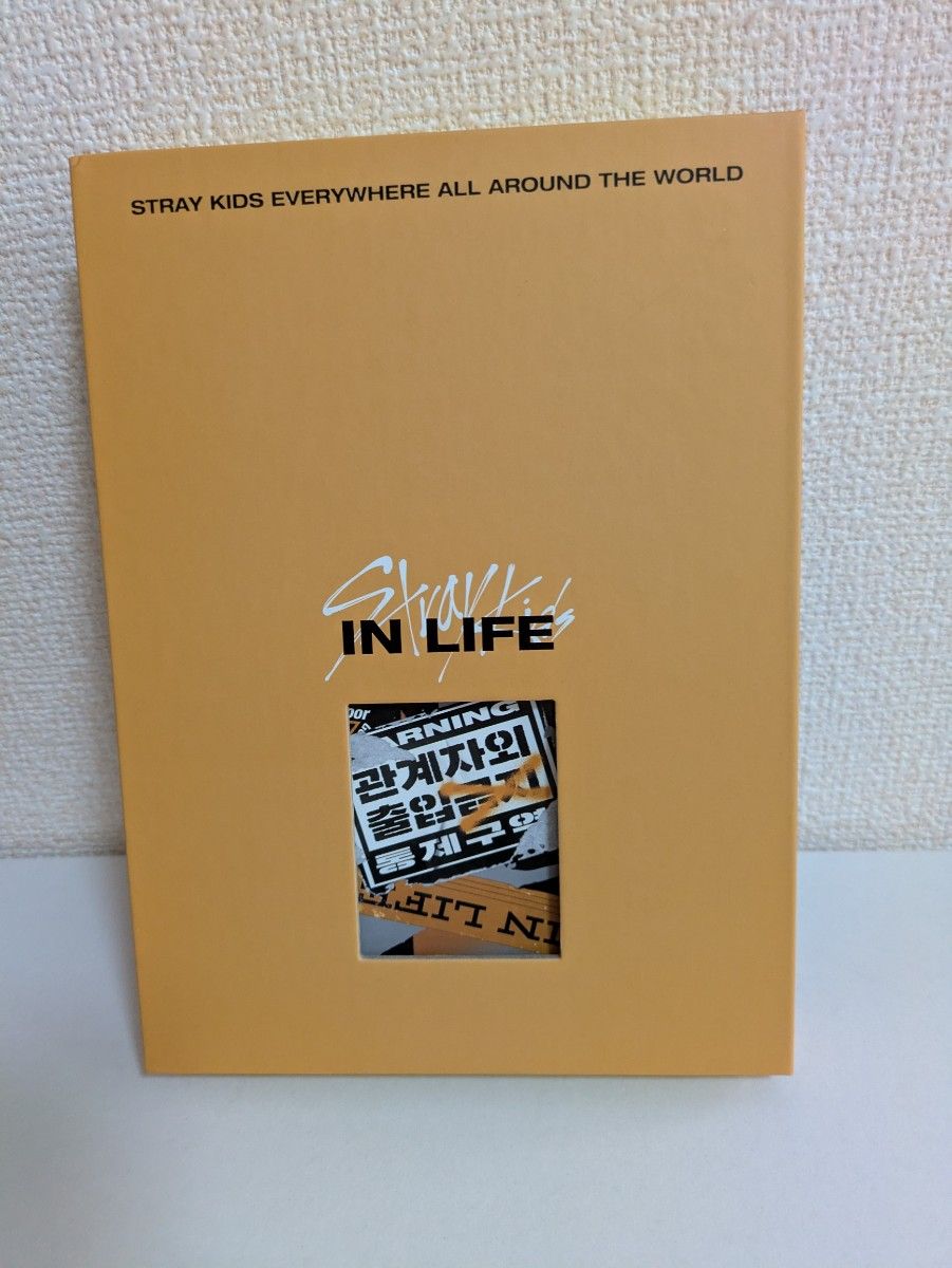 Stray Kids IN LIFE 专辑 CD Stray Kids