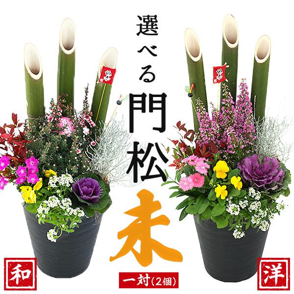 2个套装(一对)可选门松“新年组合盆栽” 新年装饰 门松插花组合盆栽 7号盆(免运费)