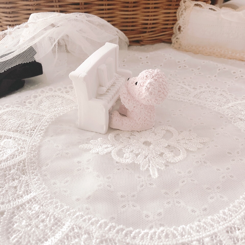 🎵熊先生的钢琴发表会🧸💓