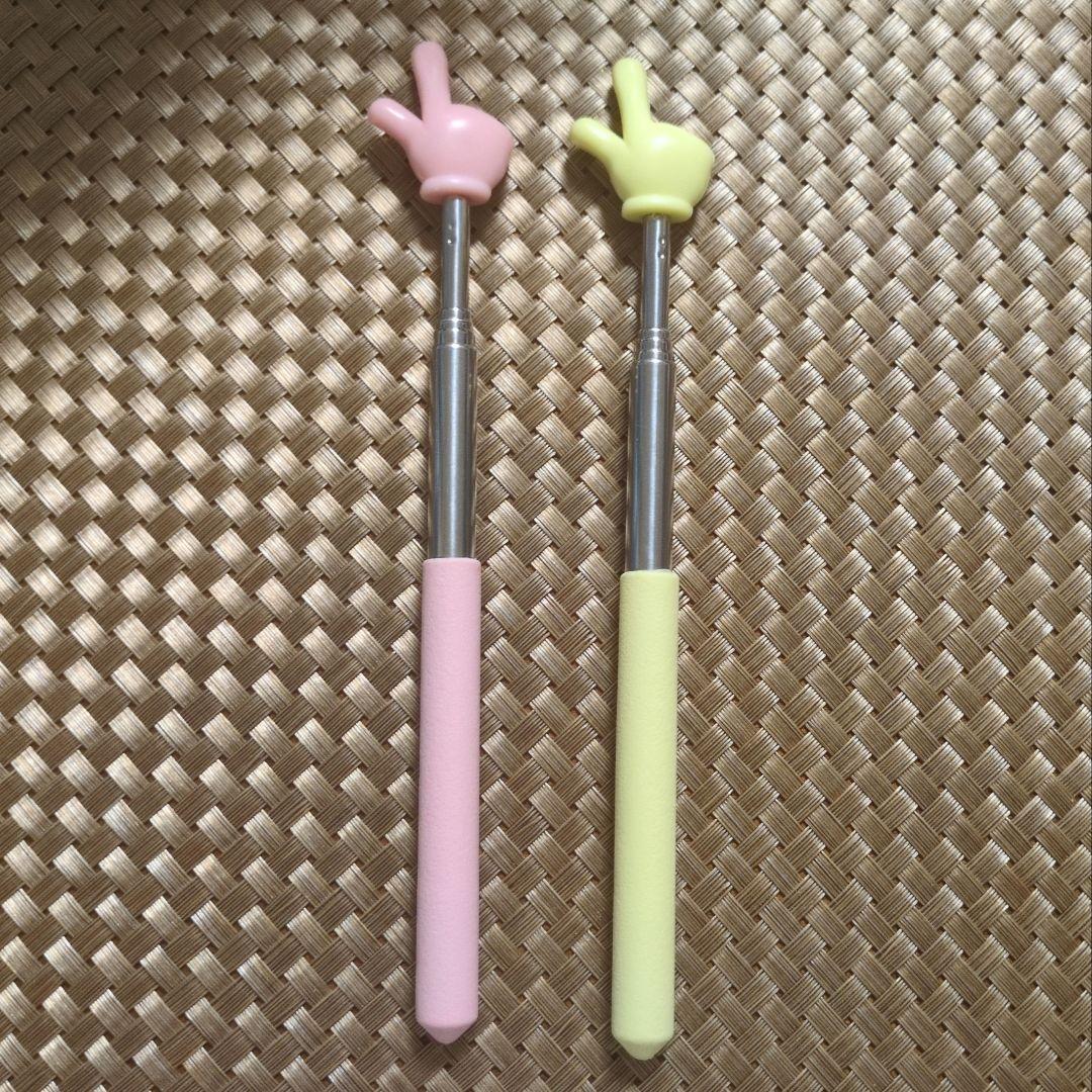 Retractable Pointer, Set of 2