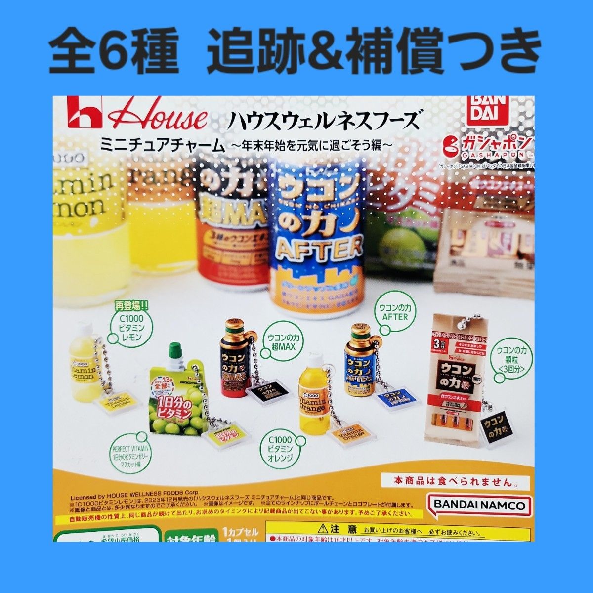 全套6款 House Wellness Foods 迷你挂件扭蛋手办