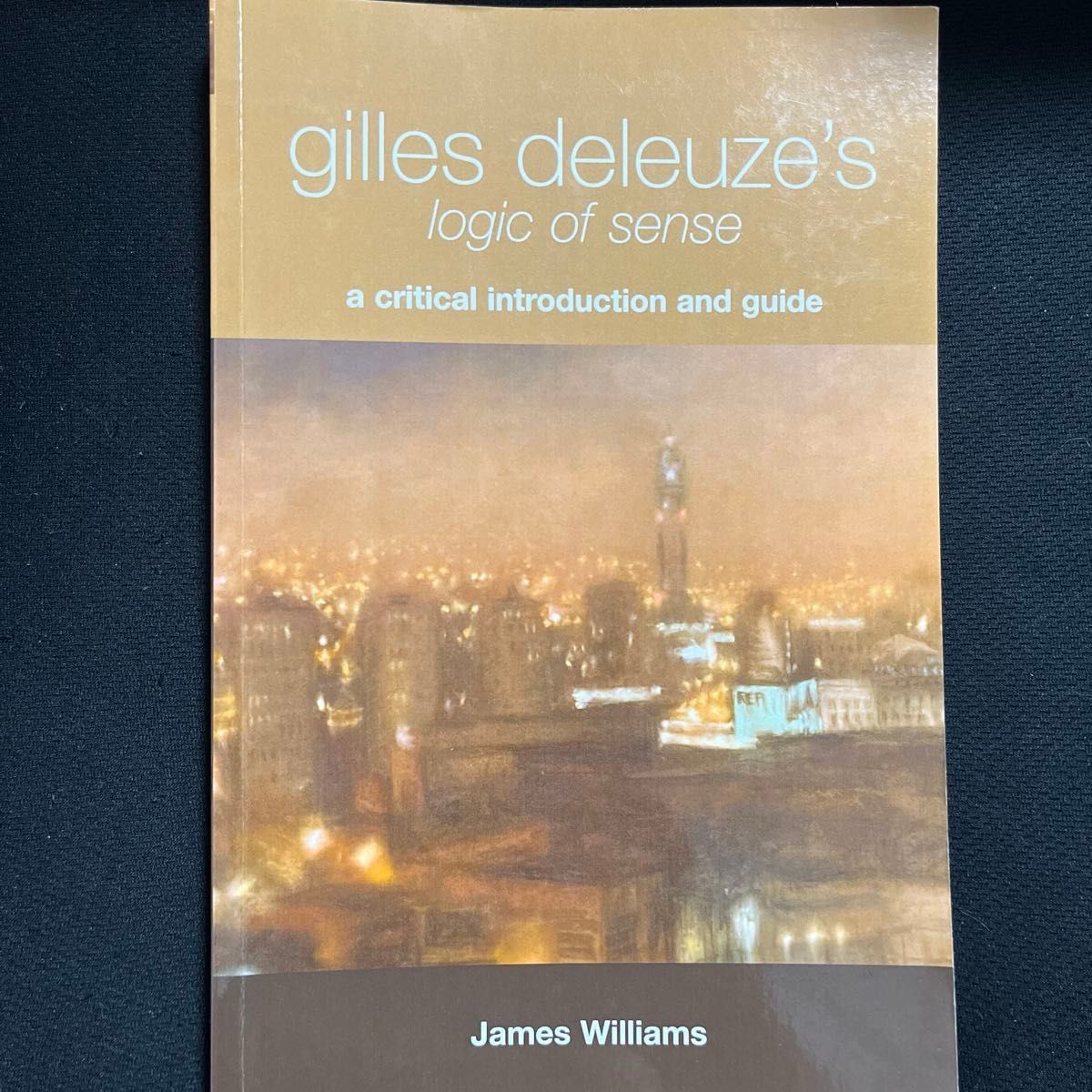 Gilles Deleuze's Logic of Sense:A Critical Introduction and Guide