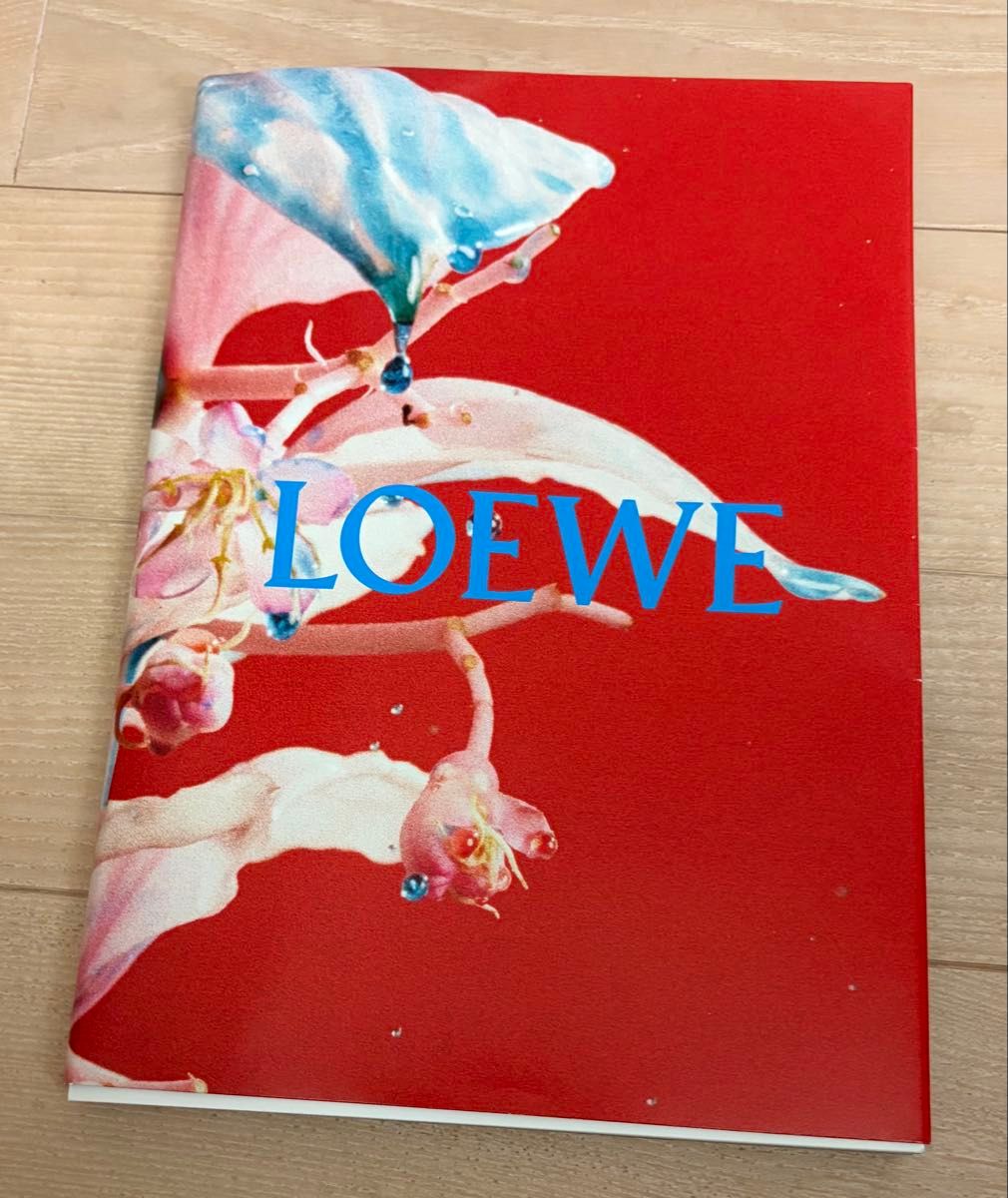 LOEWE 目录艺术书
