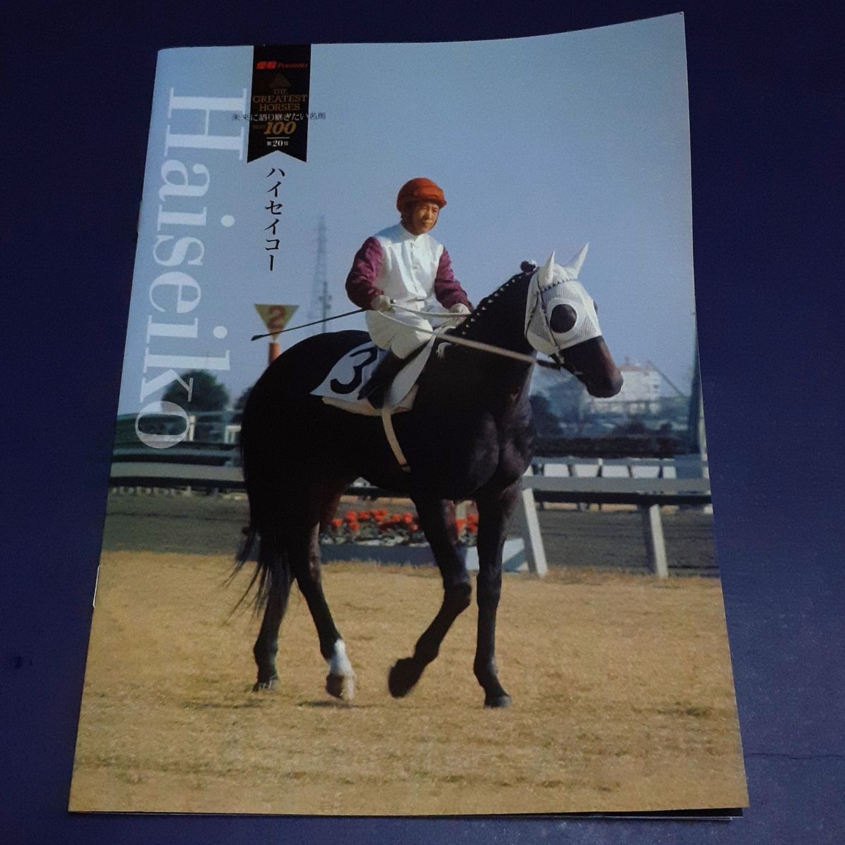 THE GREATEST HORSES 未来に語り継ぎたい名馬best100 第20位 ハイセイコー