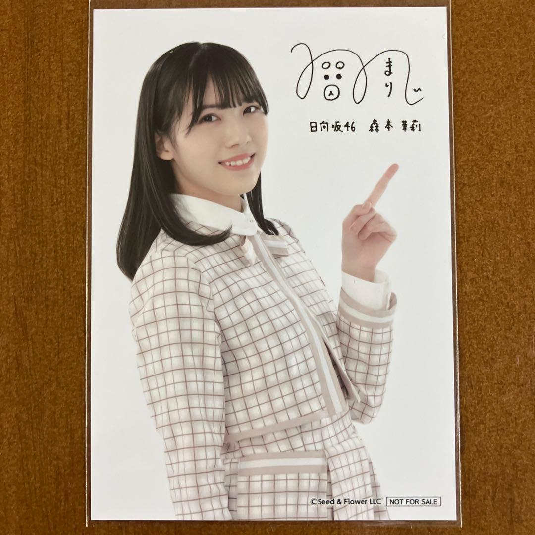 森本茉莉 签名版 生写真