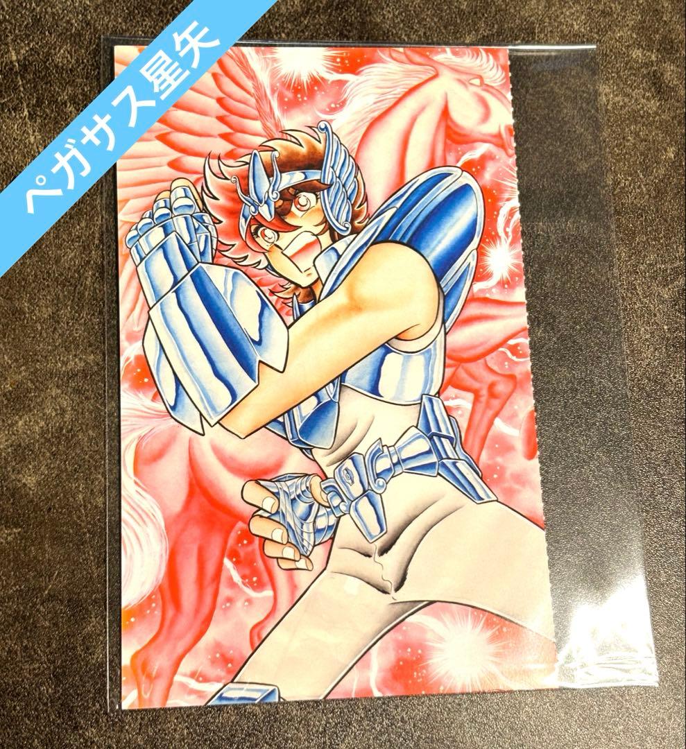 Saint Seiya Postcard Pegasus Seiya